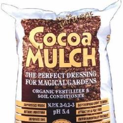 Cocoa Mulch Toxicity in Dogs